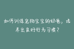 如何训练宠物宝宝的奶爸,培养出良好行为习惯?