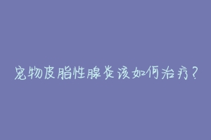 宠物皮脂性腺炎该如何治疗?