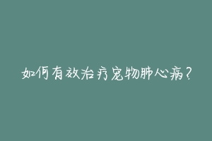 如何有效治疗宠物肺心病?