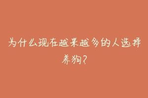 为什么现在越来越多的人选择养狗?