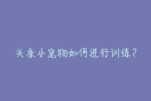 头条小宠物如何进行训练?