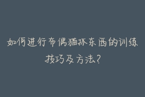 如何进行布偶猫抓东西的训练技巧及方法?