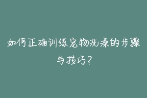 如何正确训练宠物洗澡的步骤与技巧?