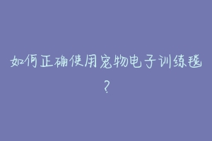如何正确使用宠物电子训练毯?