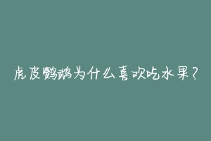 虎皮鹦鹉为什么喜欢吃水果?