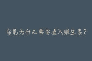 乌龟为什么需要摄入维生素?