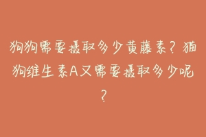 狗狗需要摄取多少黄藤素?猫狗维生素A又需要摄取多少呢?