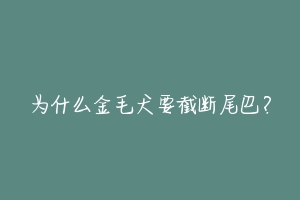为什么金毛犬要截断尾巴?