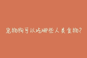 宠物狗可以吃哪些人类食物?