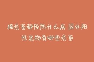 猫疫苗都预防什么病 国外阳性宠物有哪些疫苗