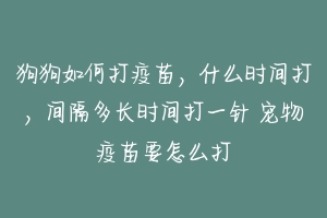 狗狗如何打疫苗,什么时间打,间隔多长时间打一针 宠物疫苗要怎么打