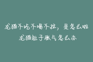 龙猫不吃不喝不拉,是怎么啦 龙猫肚子胀气怎么办