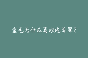 金毛为什么喜欢吃苹果?