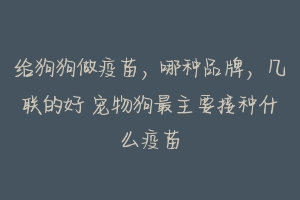 给狗狗做疫苗，哪种品牌，几联的好 宠物狗最主要接种什么疫苗