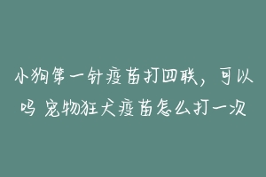 小狗第一针疫苗打四联,可以吗 宠物狂犬疫苗怎么打一次