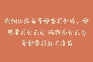 狗狗必须每年都要打针吗,都需要打什么针 狗狗为什么每年都要打狂犬疫苗
