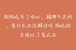 狗狗吃多了呕吐,精神不太好,有什么办法解决吗 狗吃的太饱吐了怎么办