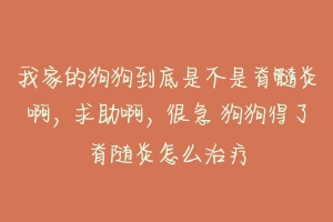 我家的狗狗到底是不是脊髓炎啊,求助啊,很急 狗狗得了脊随炎怎么治疗
