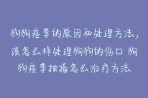 狗狗痉挛的原因和处理方法,该怎么样处理狗狗的伤口 狗狗痉挛抽搐怎么治疗方法