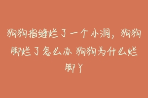 狗狗指缝烂了一个小洞,狗狗脚烂了怎么办 狗狗为什么烂脚丫