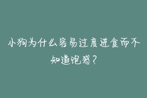 小狗为什么容易过度进食而不知道饱感?