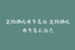 宠物猫吃棉布怎治 宠物猫吃棉布怎么治疗