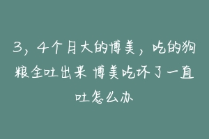 3,4个月大的博美,吃的狗粮全吐出来 博美吃坏了一直吐怎么办