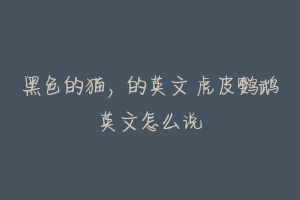 黑色的猫,的英文 虎皮鹦鹉英文怎么说