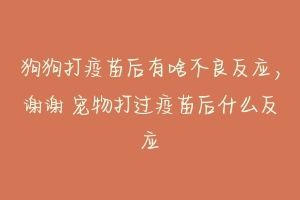 狗狗打疫苗后有啥不良反应,谢谢 宠物打过疫苗后什么反应