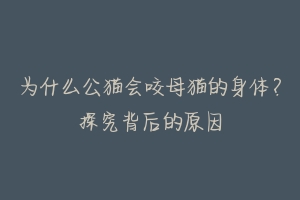 为什么公猫会咬母猫的身体?探究背后的原因
