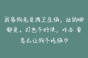 我家狗老是拽卫生纸,扯的哪都是。打也不好使,咋办 要怎么让狗不吃纸巾
