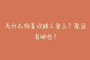 为什么狗喜欢睡人身上?原因有哪些?