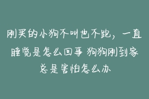 刚买的小狗不叫也不跑,一直睡觉是怎么回事 狗狗刚到家总是害怕怎么办