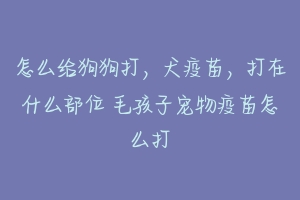 怎么给狗狗打,犬疫苗,打在什么部位 毛孩子宠物疫苗怎么打