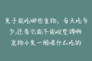 兔子能吃哪些食物,每天吃多少,还有它能不能吹空调啊 宠物小兔一般喂什么吃的