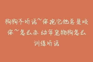 狗狗不听话~你抱它他总是咬你~怎么办 幼年宠物狗怎么训练听话