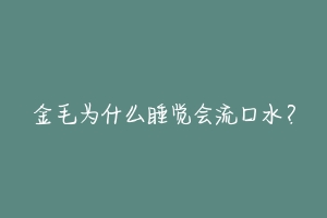 金毛为什么睡觉会流口水?
