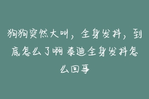狗狗突然大叫,全身发抖,到底怎么了啊 泰迪全身发抖怎么回事