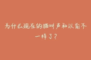 为什么现在的猫叫声和以前不一样了?