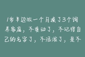 1岁半边牧一个月换了3个饲养家庭,不爱动了,不记得自己的名字了,不活泼了,是不是得抑郁症了,怎么治疗 宠物心理疾病怎么治疗的