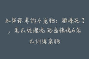 如果你养的小宠物:猫咪死了,怎么处理呢 孤岛惊魂6怎么训练宠物