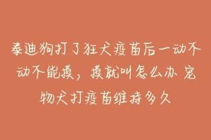 泰迪狗打了狂犬疫苗后一动不动不能摸,摸就叫怎么办 宠物犬打疫苗维持多久
