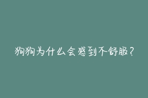 狗狗为什么会感到不舒服?