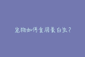 宠物如何食用蛋白虫?
