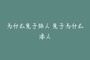 为什么兔子舔人 兔子为什么添人