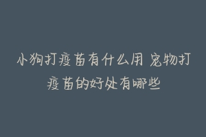 小狗打疫苗有什么用 宠物打疫苗的好处有哪些
