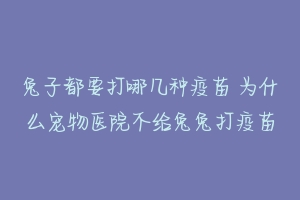 兔子都要打哪几种疫苗 为什么宠物医院不给兔兔打疫苗