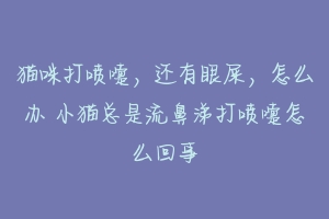 猫咪打喷嚏,还有眼屎,怎么办 小猫总是流鼻涕打喷嚏怎么回事