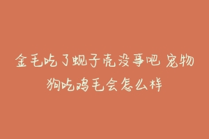金毛吃了蚬子壳没事吧 宠物狗吃鸡毛会怎么样