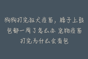 狗狗打完狂犬疫苗,脖子上鼓包都一周了怎么办 宠物疫苗打完为什么会有包
